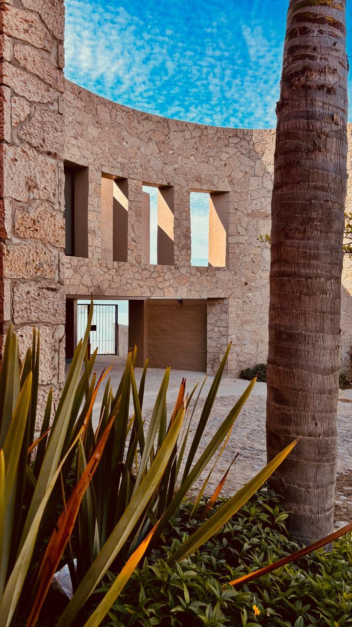 imagen de whatsapp 2025 02 06 a las 12.49.28 cacbe603 (1)